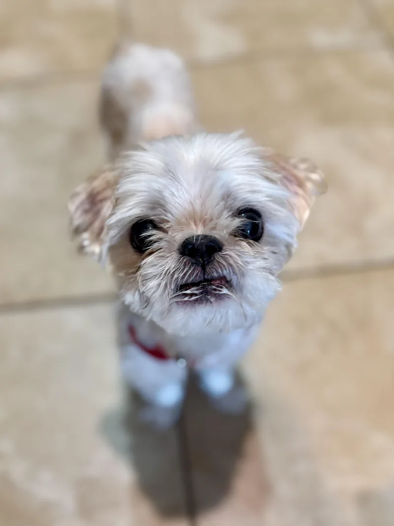 Bentley & Berkeley thumbnail 4