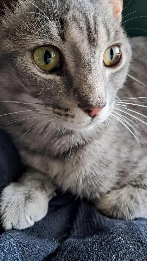Morty