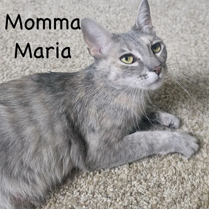 Momma Maria...loves to "chat" thumbnail 2