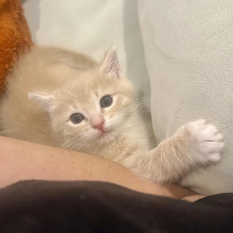 Lucky Baby thumbnail 2