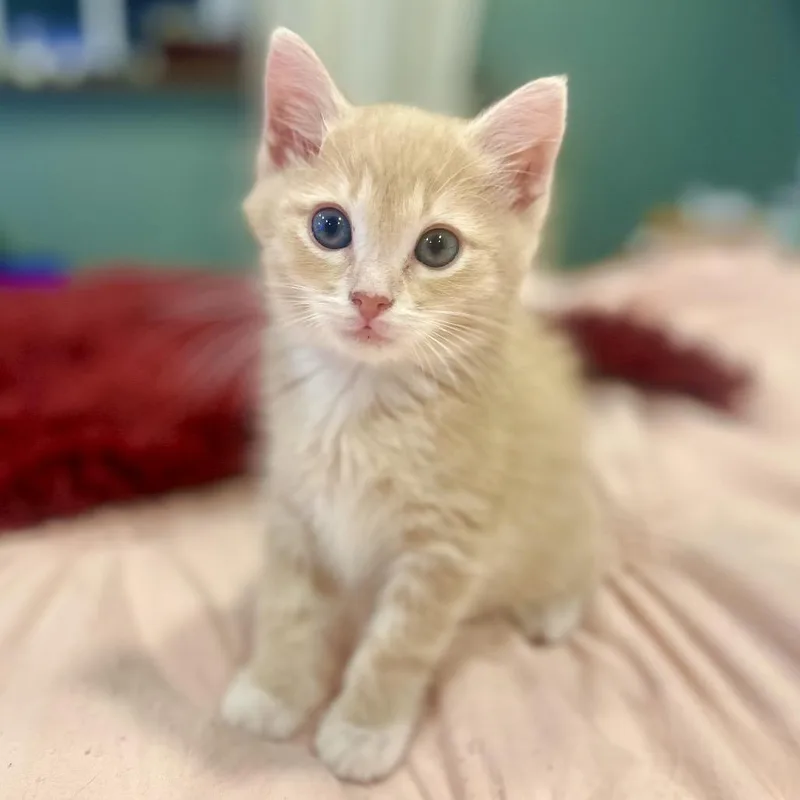 Lucky Baby thumbnail 3