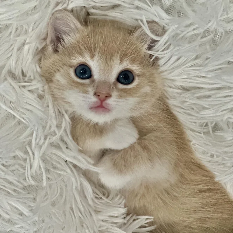 Lucky Baby thumbnail 4