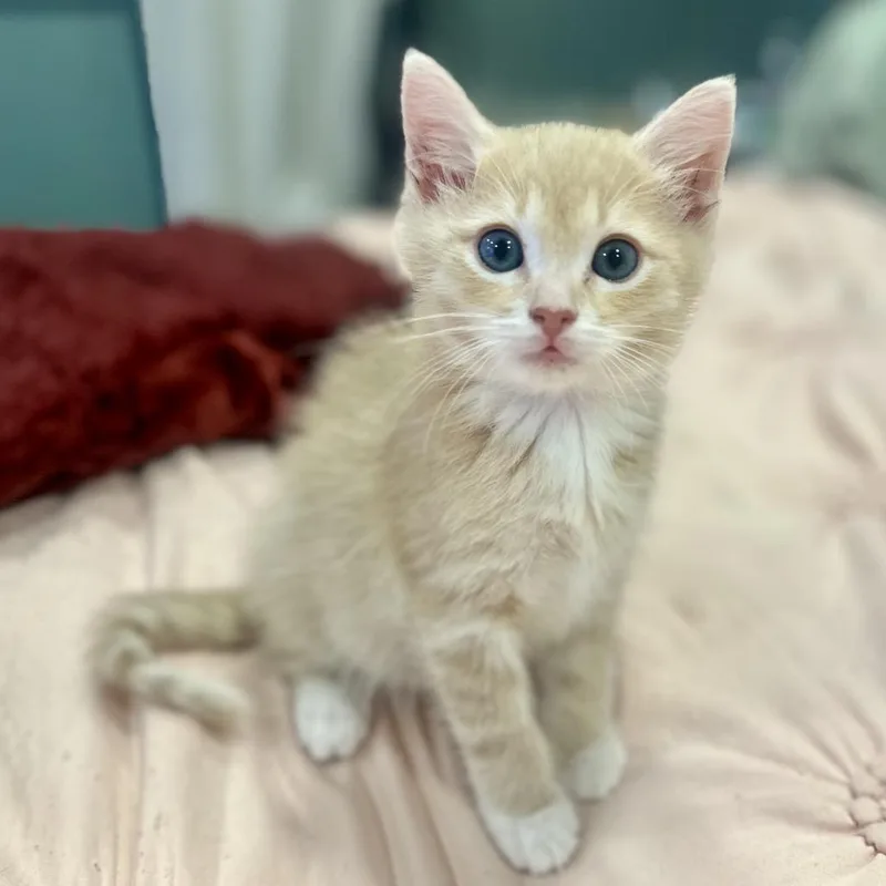 Lucky Baby thumbnail 5