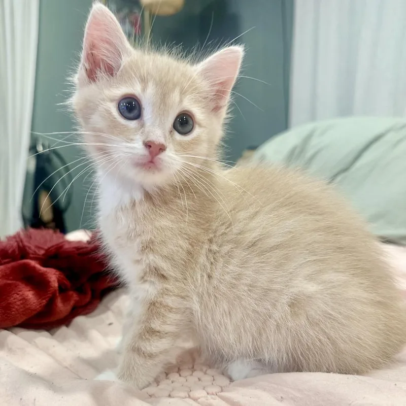 Lucky Baby thumbnail 6