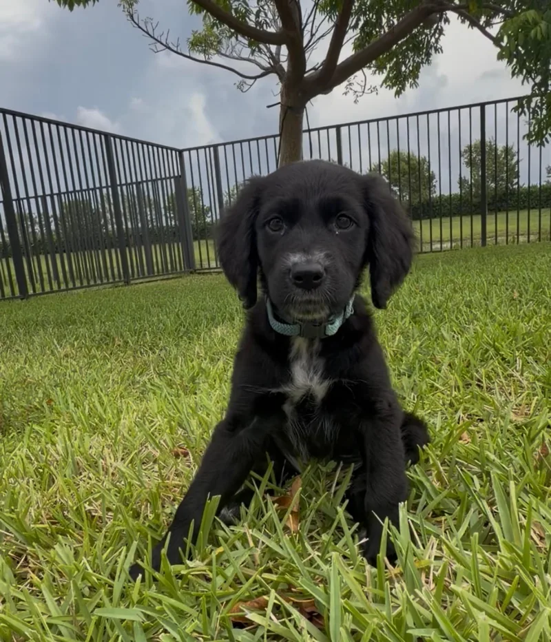 Luna