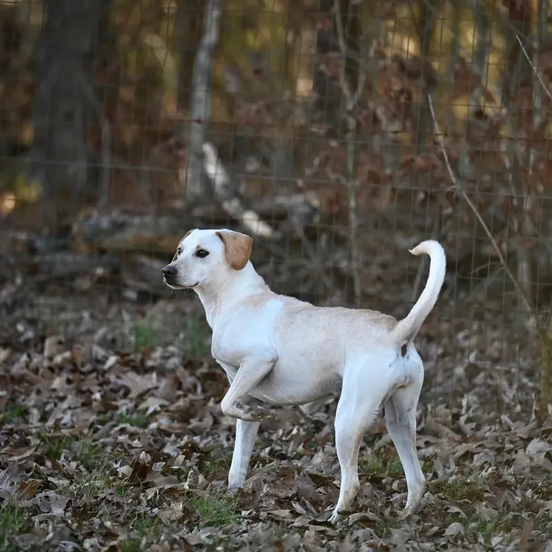 Reegan  Aka Reeree thumbnail 2