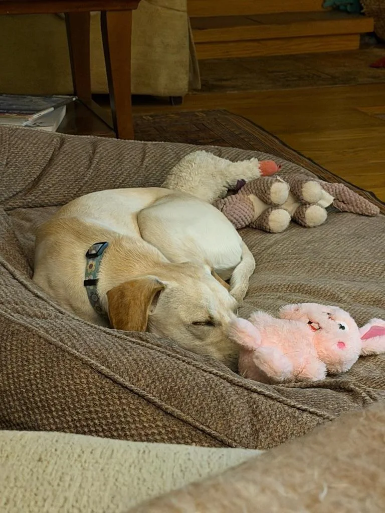 Reegan  Aka Reeree thumbnail 3