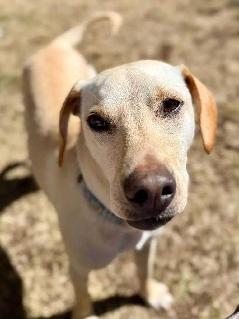 Reegan  Aka Reeree thumbnail 4