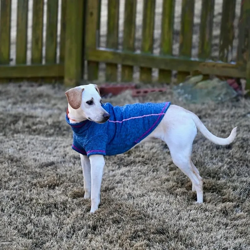 Reegan  Aka Reeree thumbnail 5