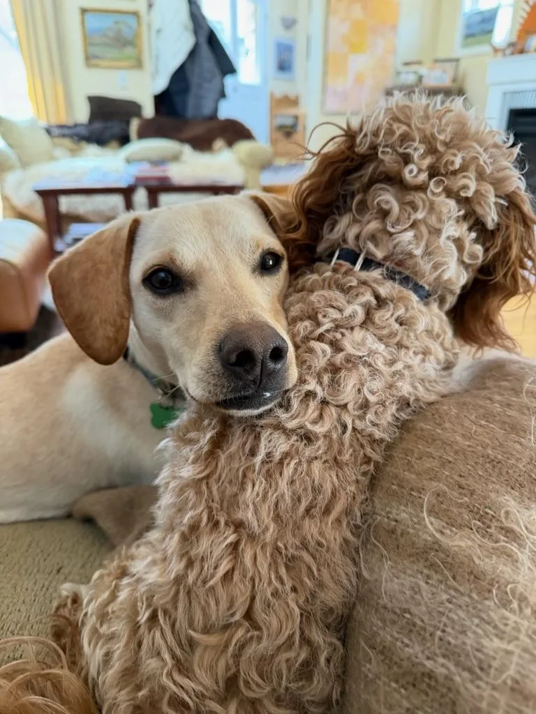 Reegan  Aka Reeree thumbnail 6