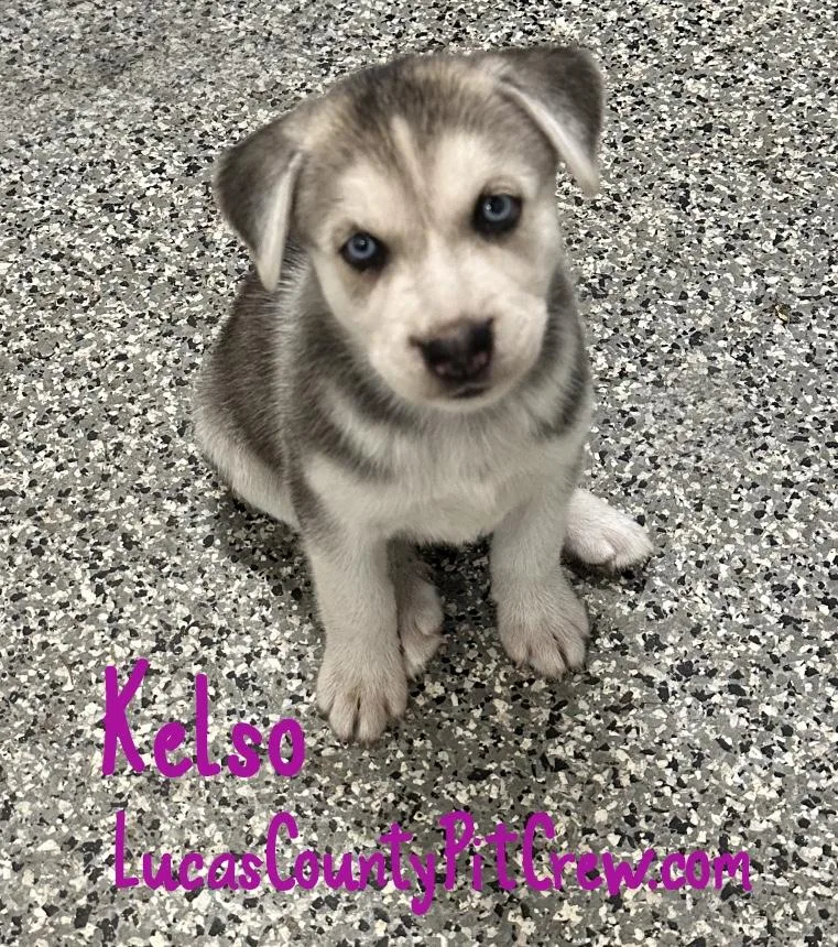 Kelso