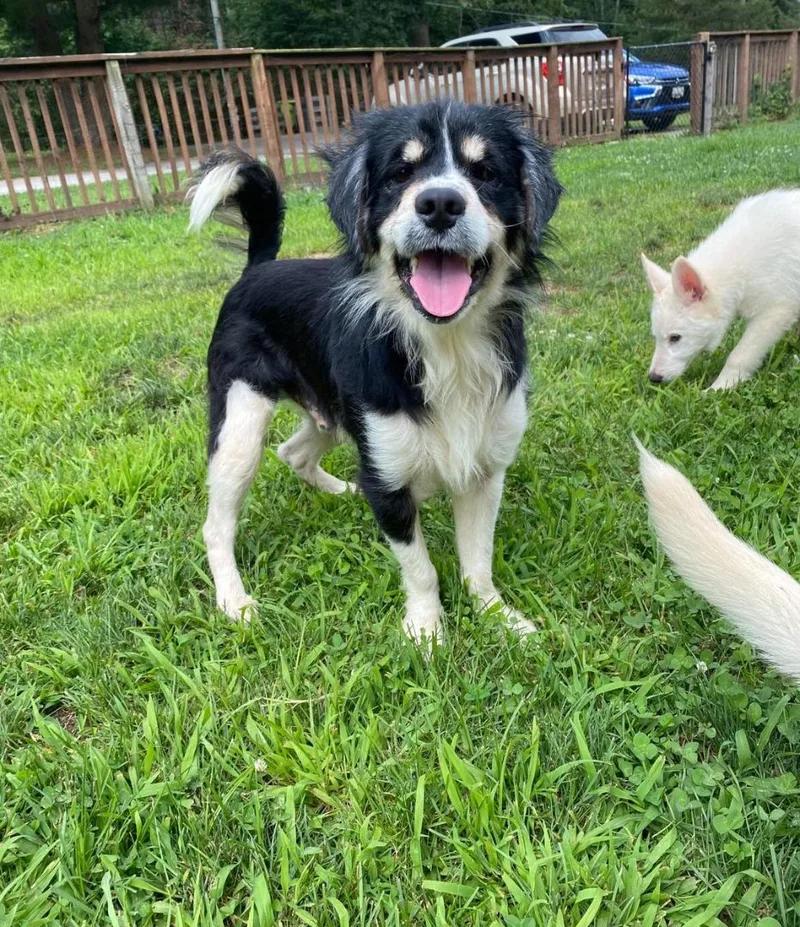 Sir Edward thumbnail 2