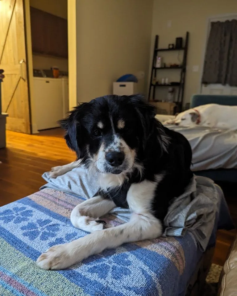 Sir Edward thumbnail 5