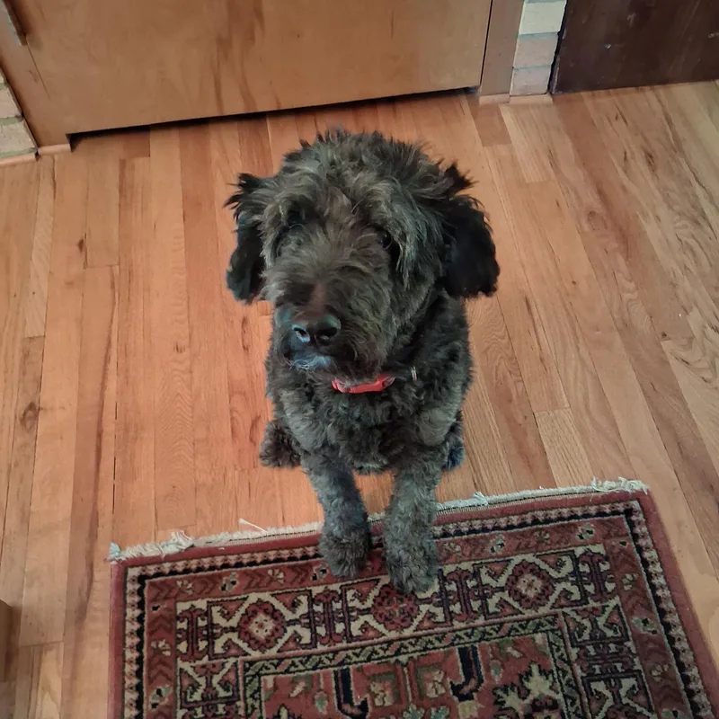 Darcy Courtesy Listing thumbnail 2