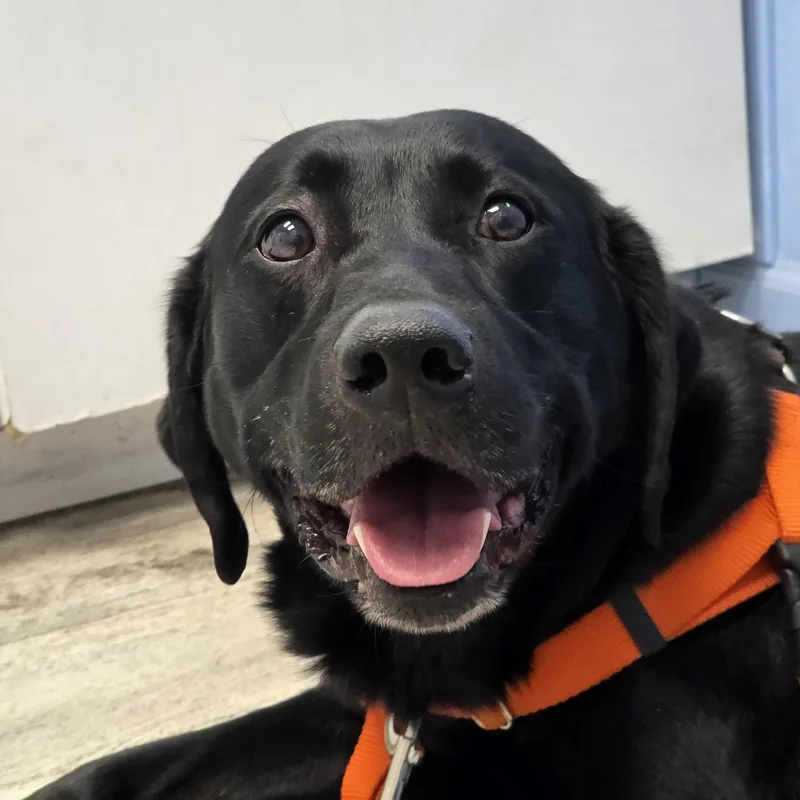 Kenai