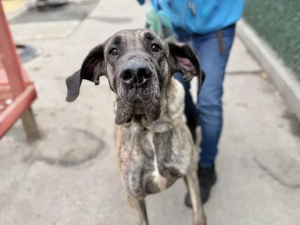 Mary Jane thumbnail 2