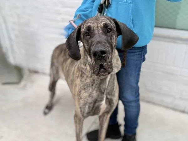 Mary Jane thumbnail 3