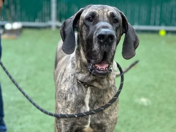 Mary Jane thumbnail 5