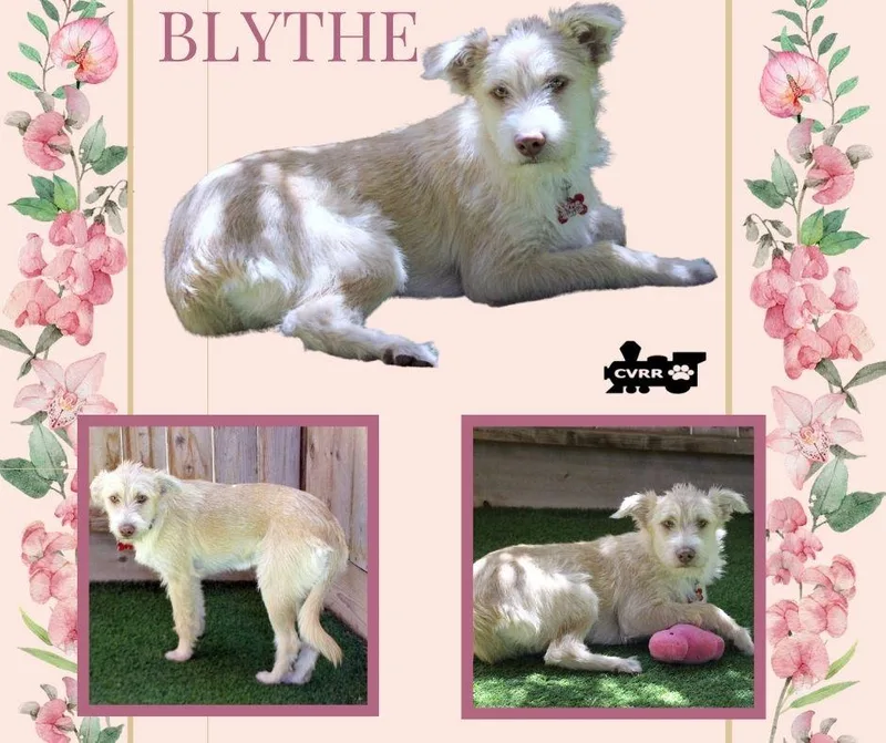 Blythe