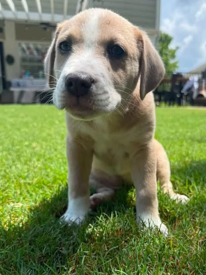 Maddie