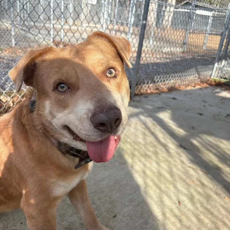 Tanner Blue thumbnail 4