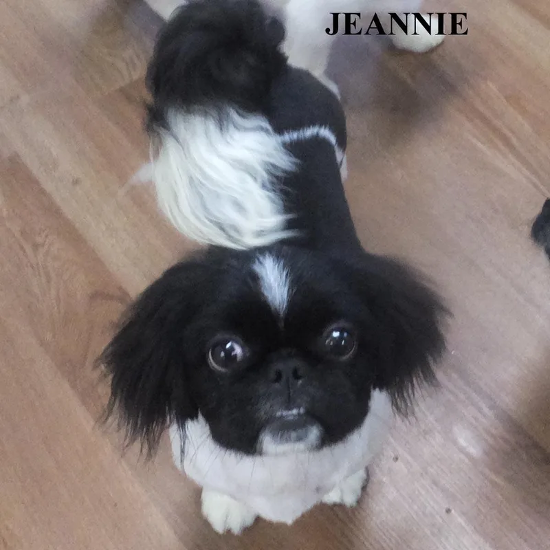 Deanna Faith Jeannie thumbnail 2
