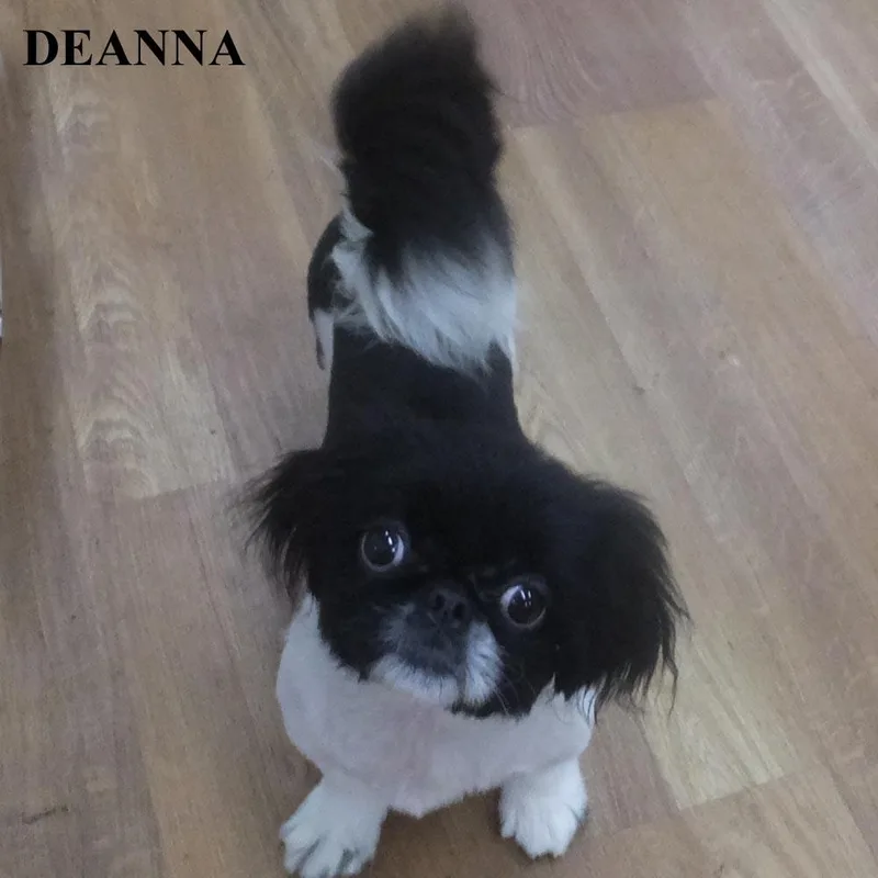 Deanna Faith Jeannie thumbnail 3