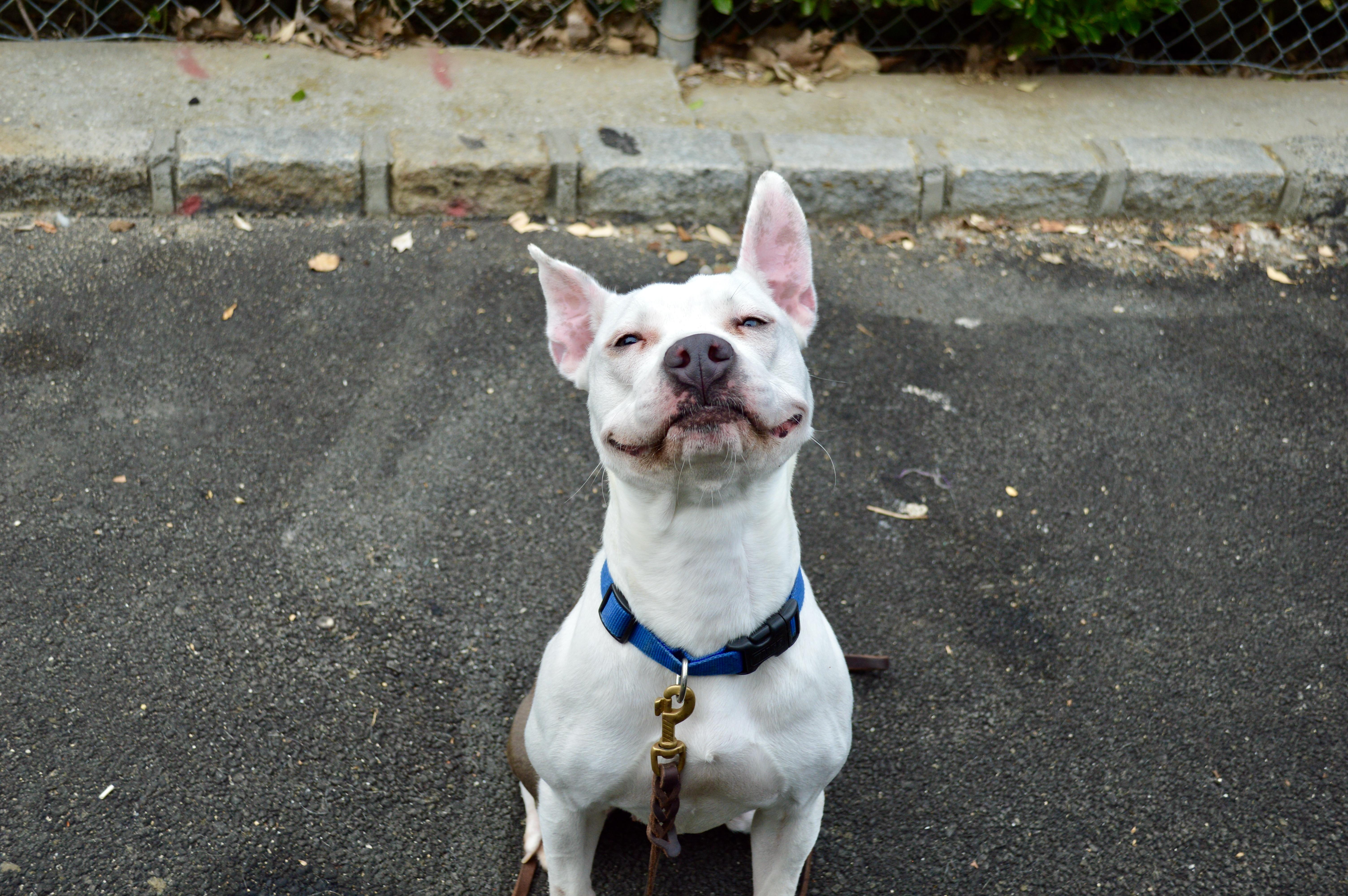 Sheri Moon thumbnail 2