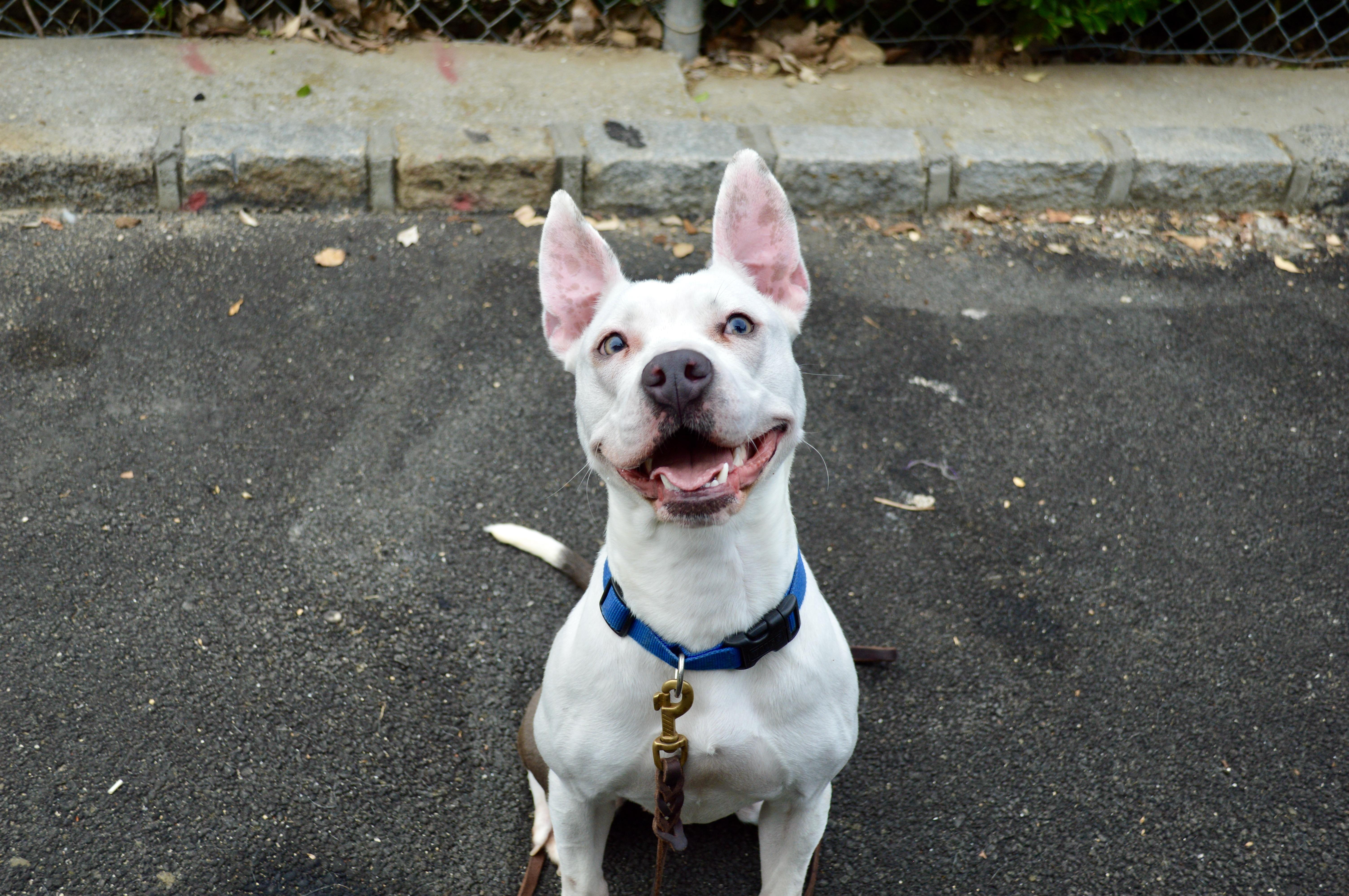 Sheri Moon thumbnail 3