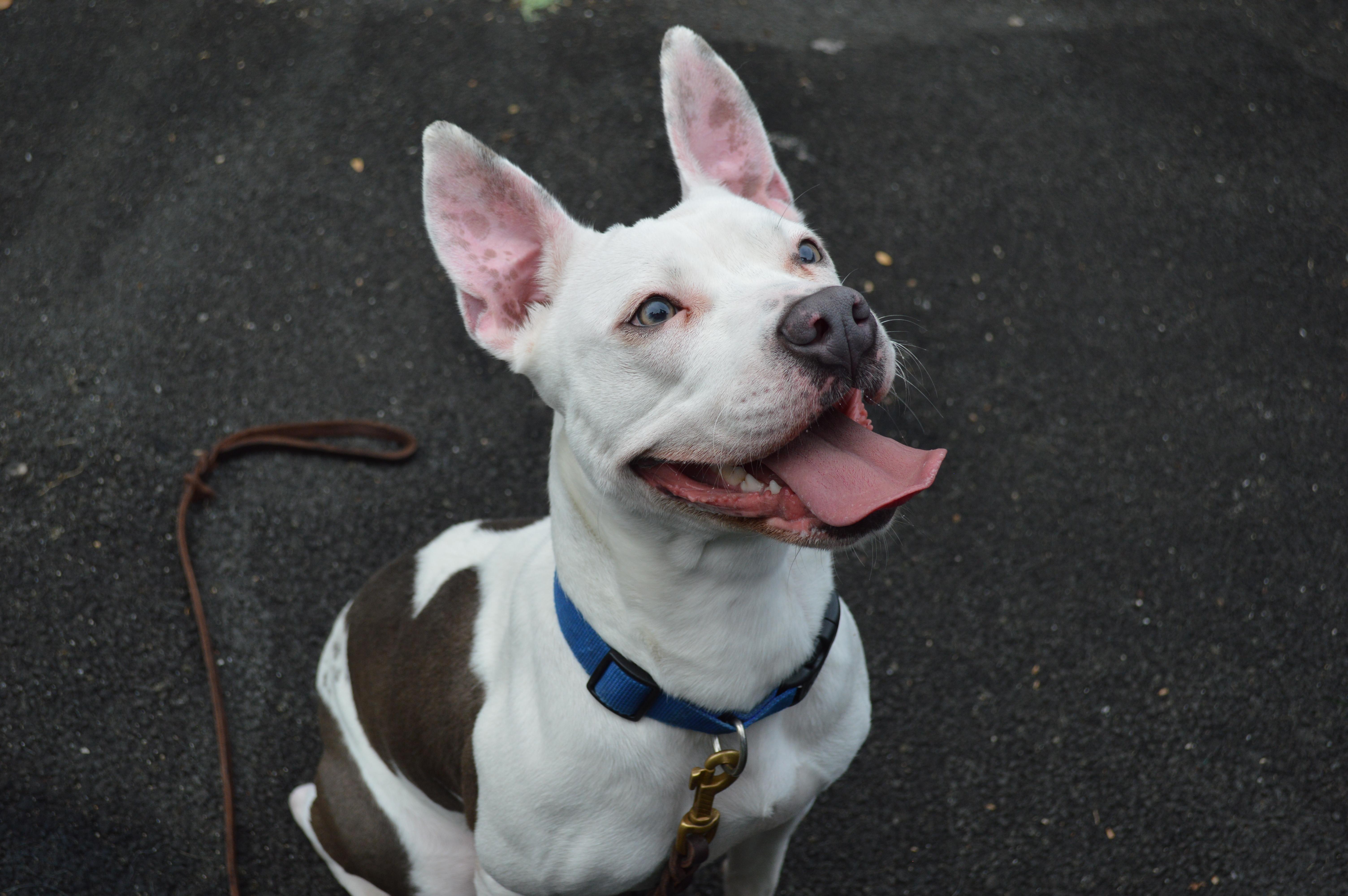 Sheri Moon thumbnail 4