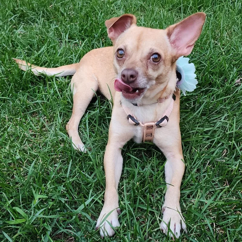 Maggie Mae thumbnail 2