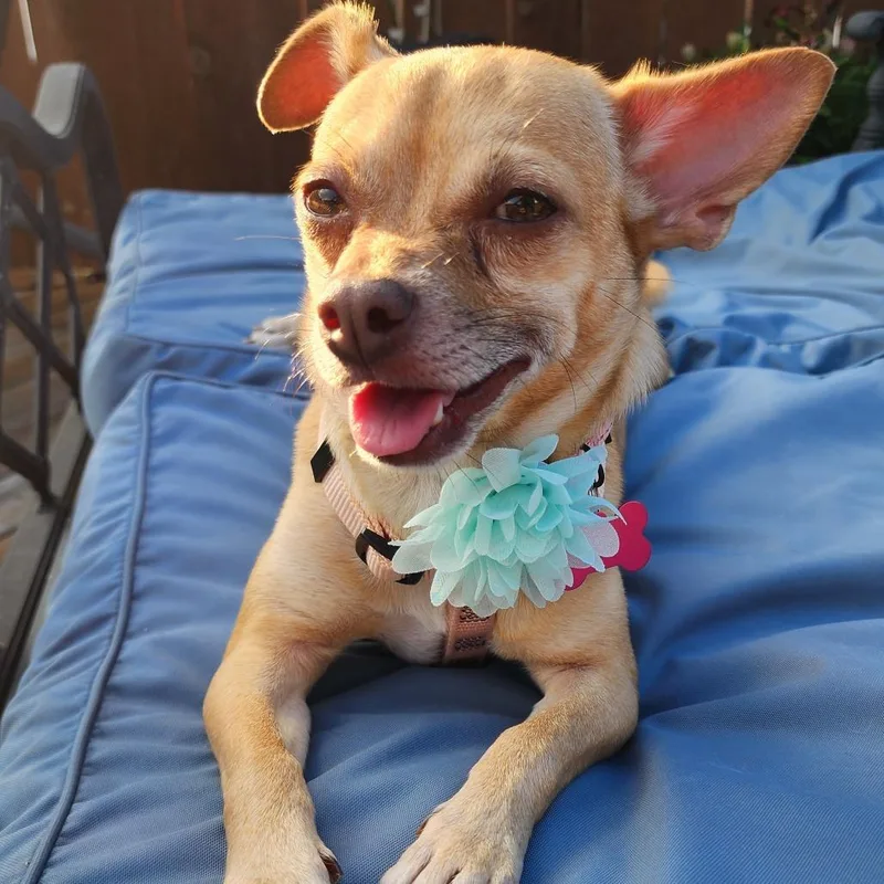 Maggie Mae thumbnail 3