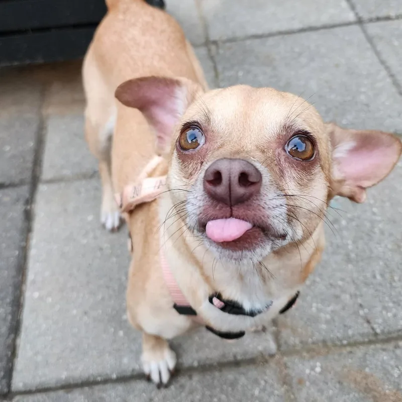 Maggie Mae thumbnail 6
