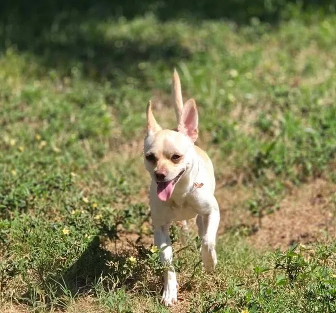 Hilda in TX thumbnail 2