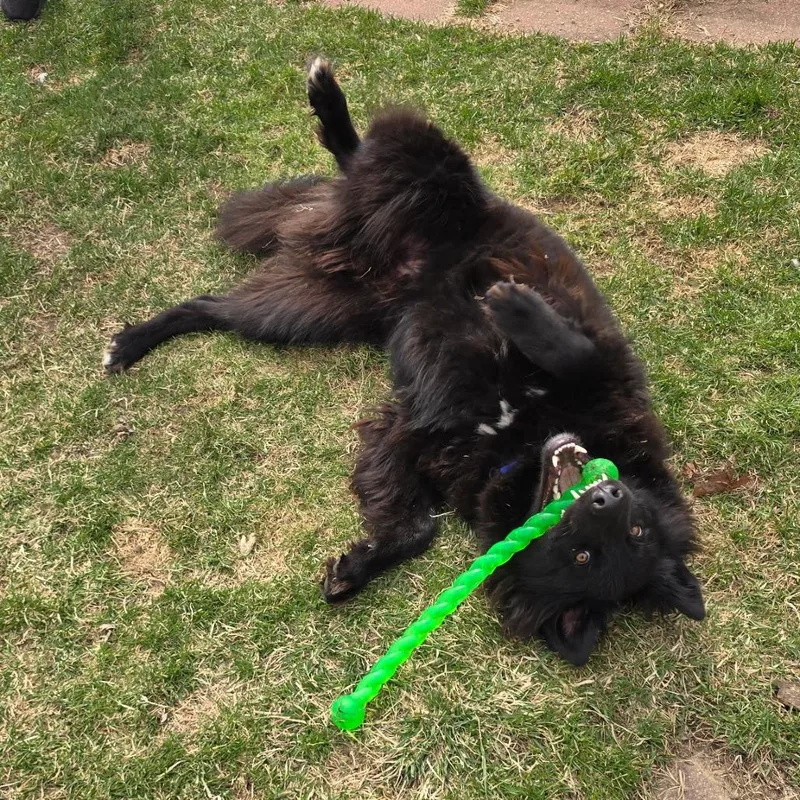 Hercules thumbnail 4