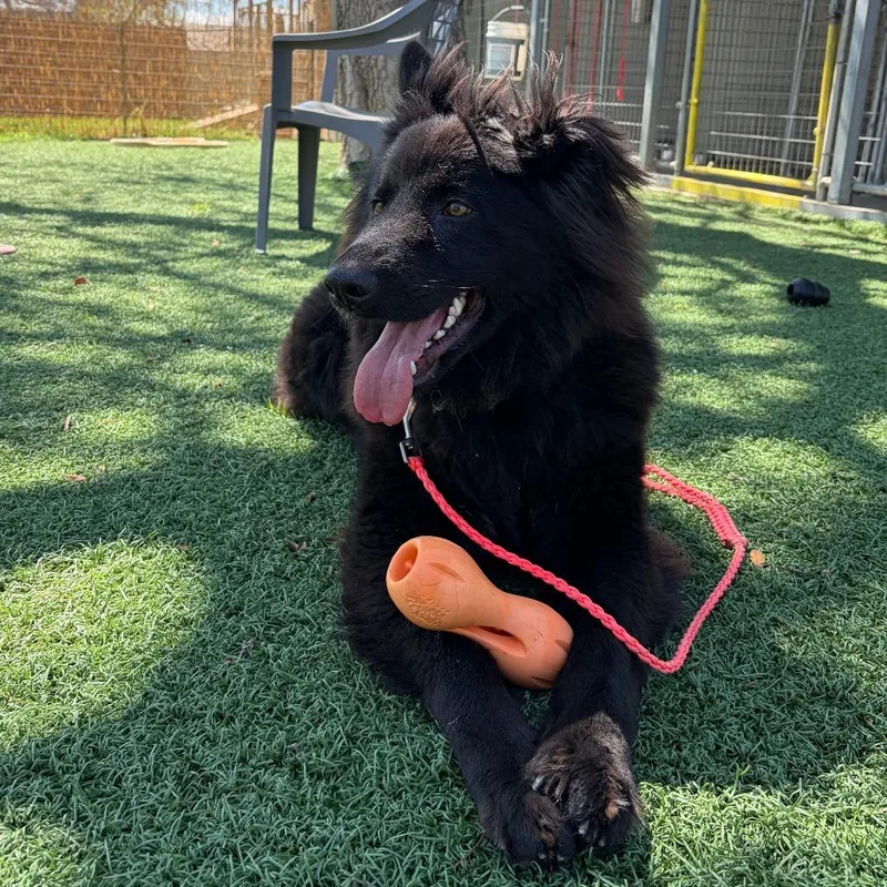 Hercules thumbnail 5