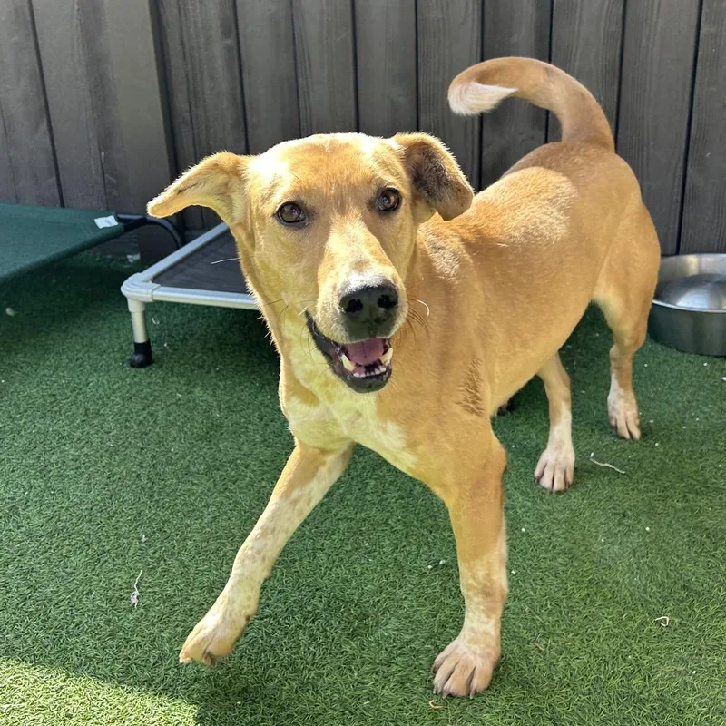 Isabella thumbnail 4