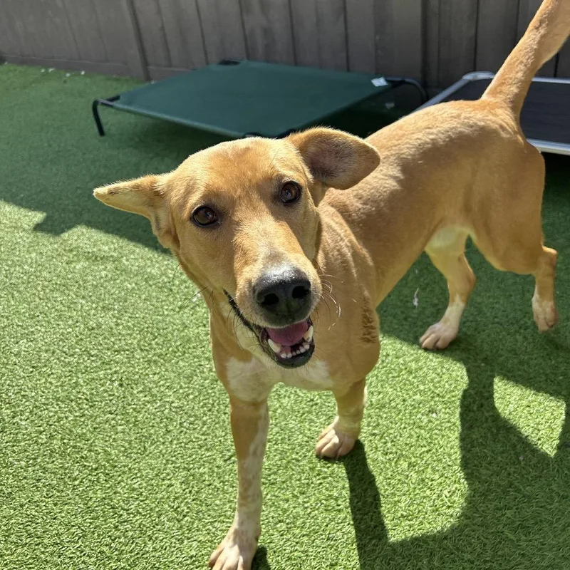 Isabella thumbnail 5