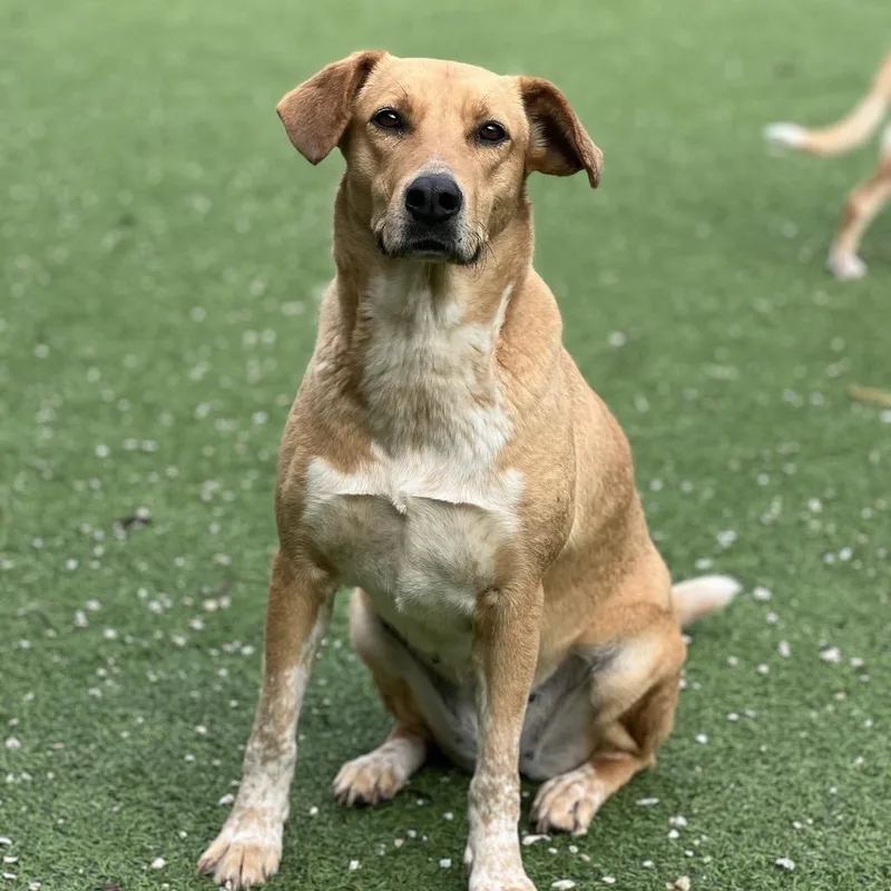 Isabella thumbnail 6