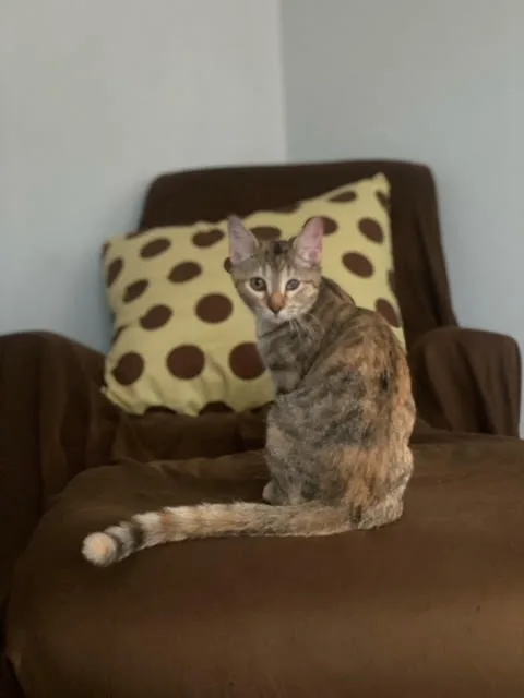 Isabella thumbnail 2