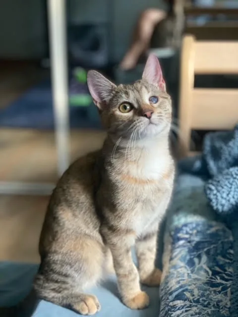 Isabella thumbnail 3