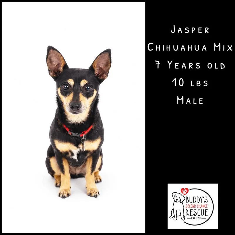 Jasper thumbnail 3