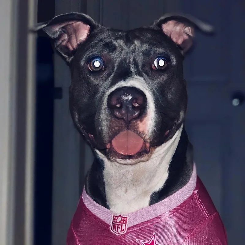 Rosie GIrl thumbnail 3