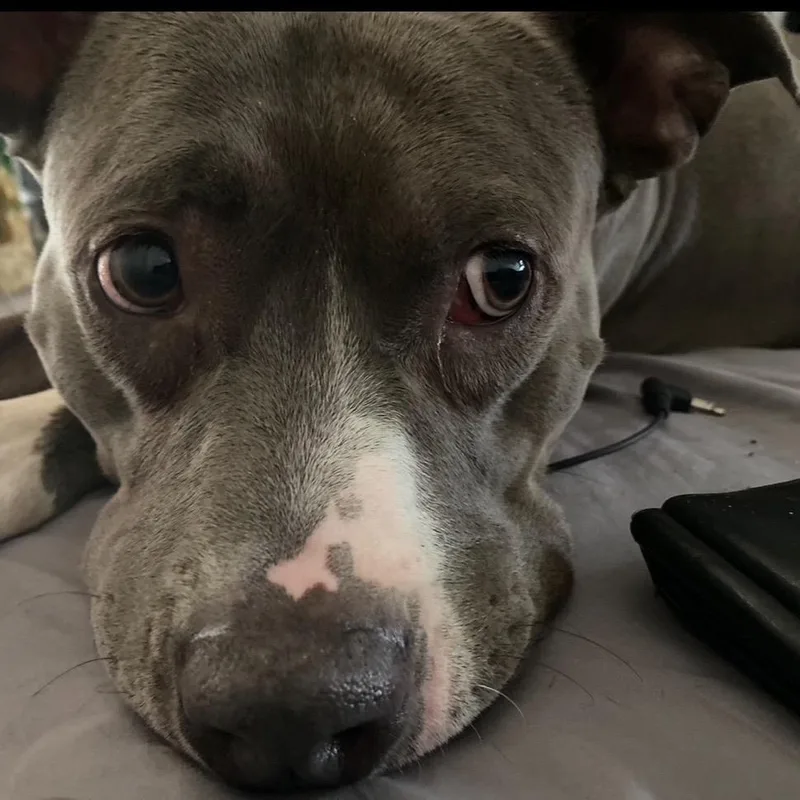 Rosie GIrl thumbnail 5