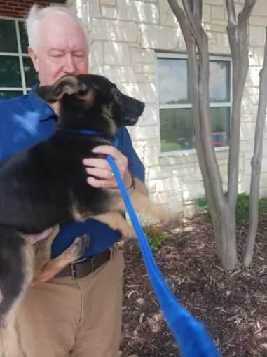 Loki