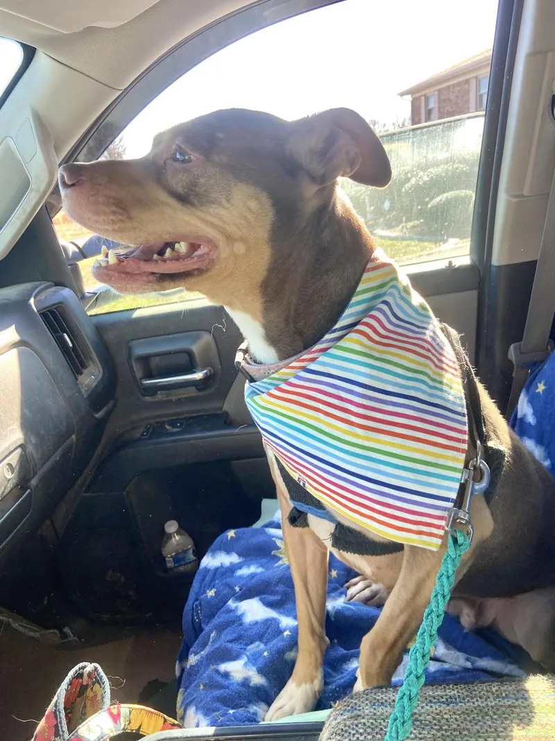 Mia Marvelous  Local thumbnail 2