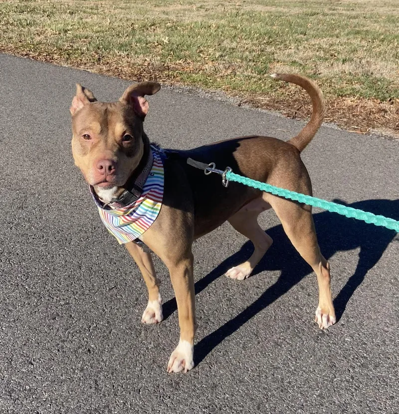 Mia Marvelous  Local thumbnail 3