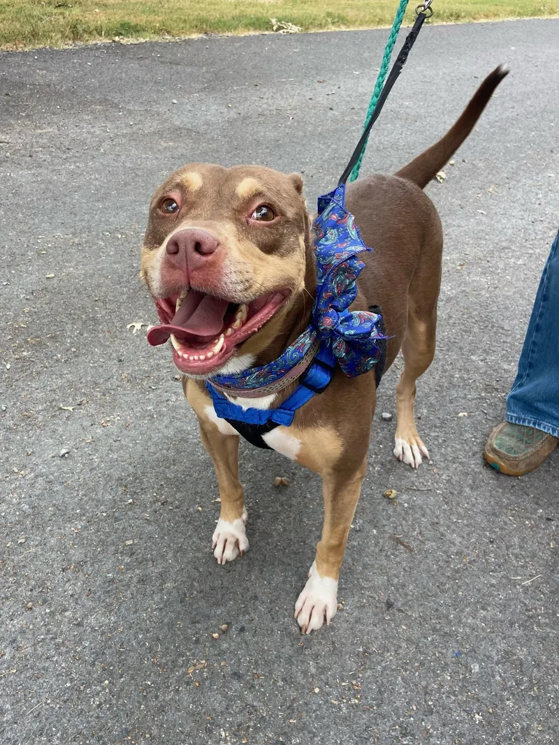 Mia Marvelous  Local thumbnail 5