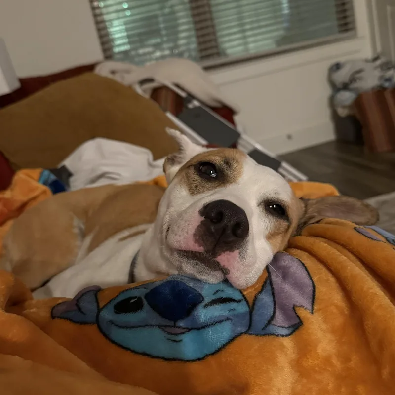 Felicity thumbnail 3