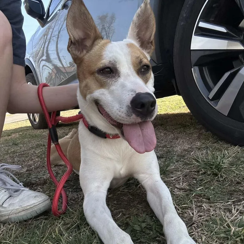 Felicity thumbnail 5